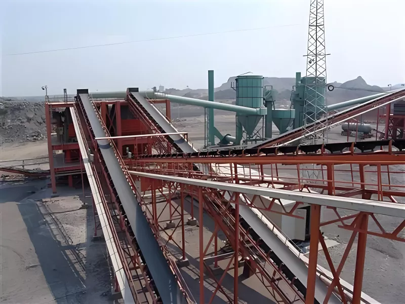 Cingulum Conveyor
